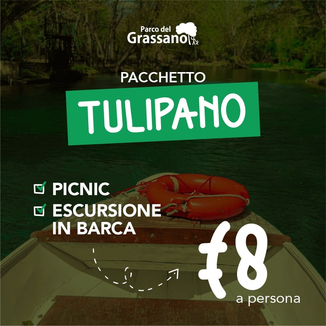 PACCHETTO TULIPANO: picnic ed escursione in barca