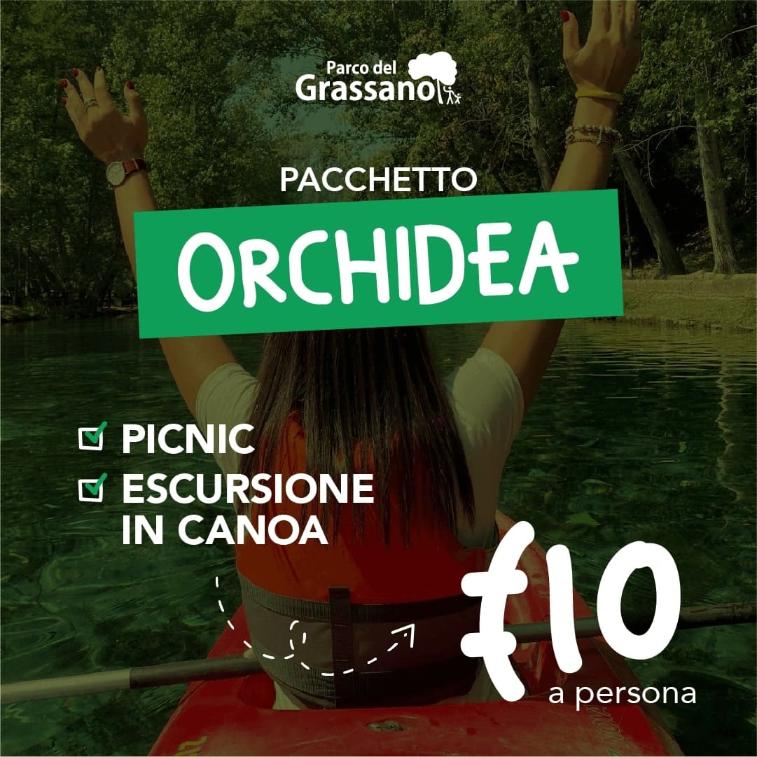 PACCHETTO ORCHIDEA: picnic ed escursione in canoa