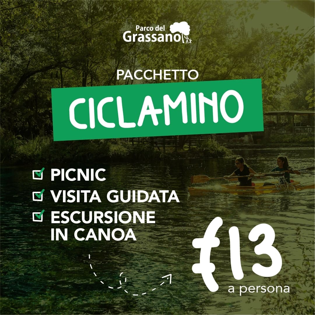 PACCHETTO CICLAMINO: picnic - escursione didattica - escursione in canoa